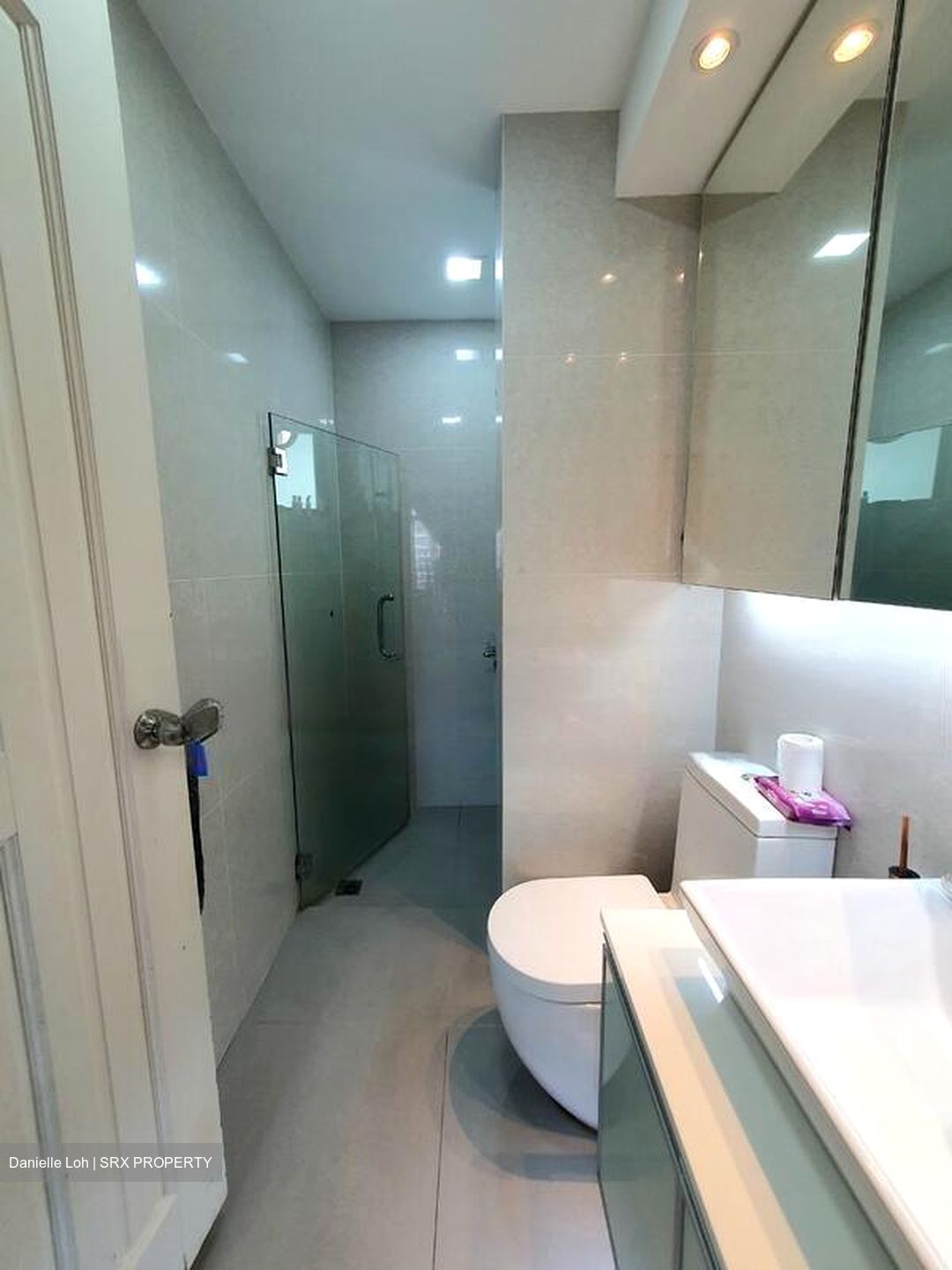 Spring Grove (D10), Condominium #478189161